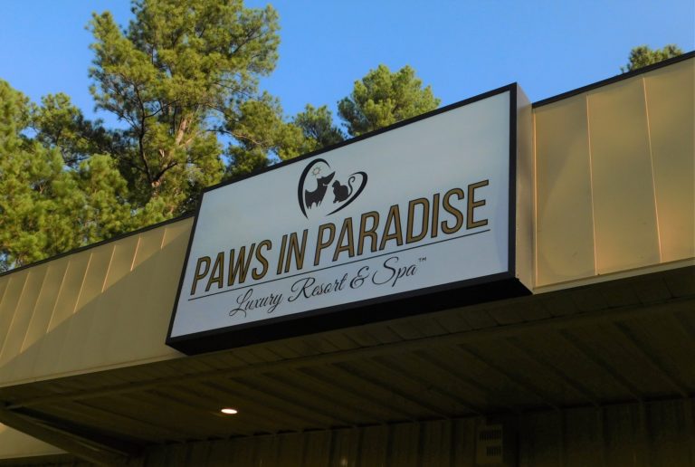 Gallery Paws in Paradise